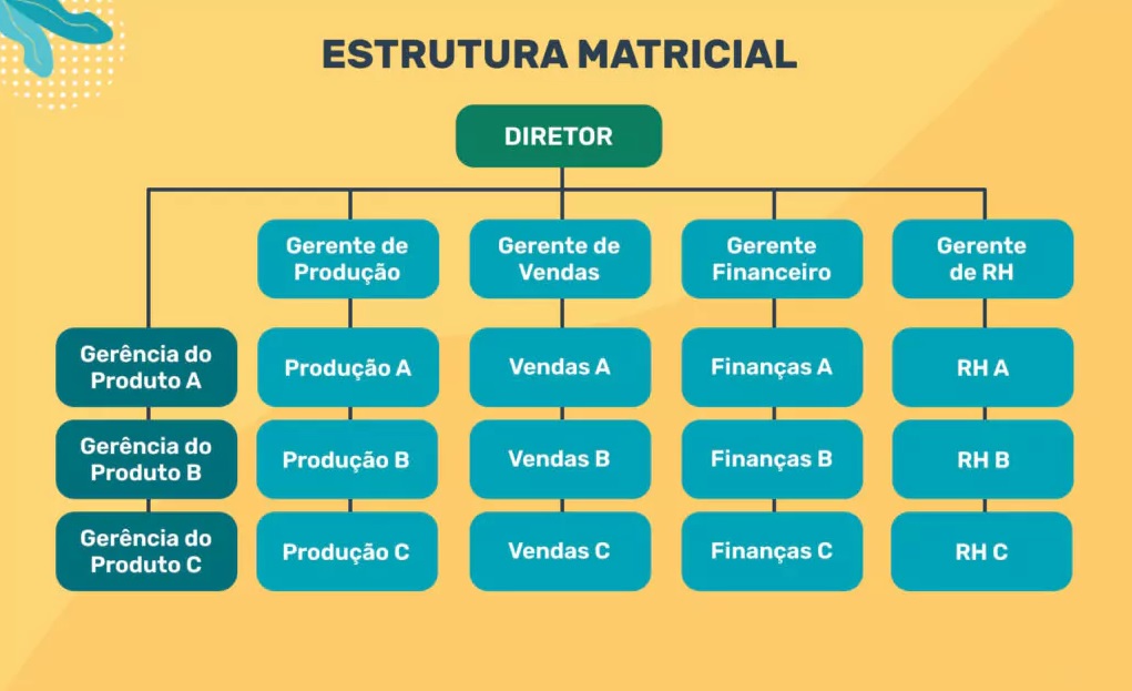 organograma matricial <strong>Organograma empresarial: o que é, tipos + como fazer em 5 passos</strong>